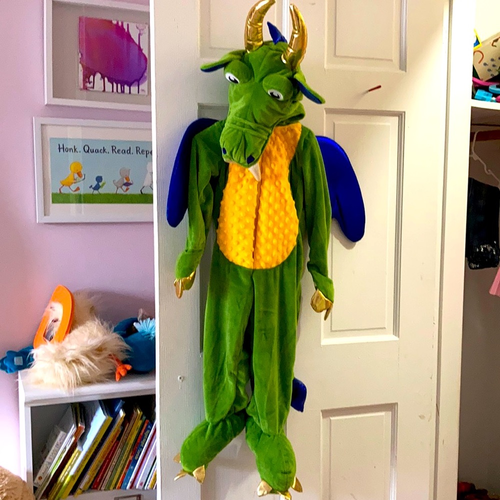 3T Dragon Costume
